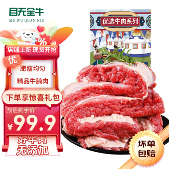 目无全牛 内蒙古牛腩肉2000g 火锅烤肉烧烤家常菜食材 生鲜冷冻牛肉