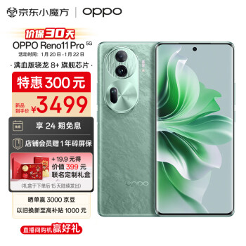 OPPO Reno11 Pro 5G手机 12GB+512GB 松石绿