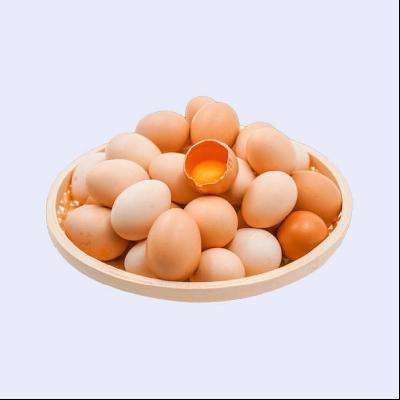 概率券：芮瑞土鸡蛋4枚 约160g 1.99元包邮（券后）