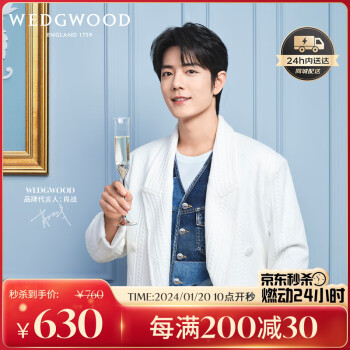 WEDGWOOD 王薇VeraWang爱之结绳香槟杯2支
