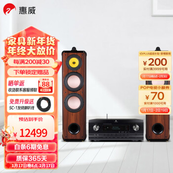 HiVi 惠威 Diva6.1 F 双8寸前置主音箱 发烧级HIFI家庭影院落地音箱 功放音响套装 Diva6.1F + 安桥696