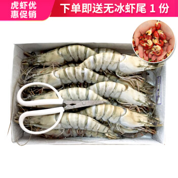 Mr.Seafood 京鲜生 黑虎虾大号高品质海鲜大虾生鲜虾类 15只/盒 1000g（赠无冰特级龙虾尾500g）