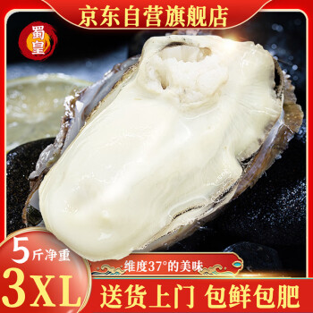蜀皇 乳山生蚝鲜活特大牡蛎海蛎子带壳生蚝肉贝类海鲜5斤3XL(12-18)只