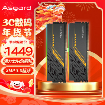Asgard 阿斯加特 64GB(32Gx2)套装 DDR5 6400 台式机内存条 TUF RGB灯条 海力士A-die
