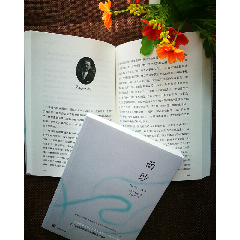 《面纱》（典藏版） 17.4元