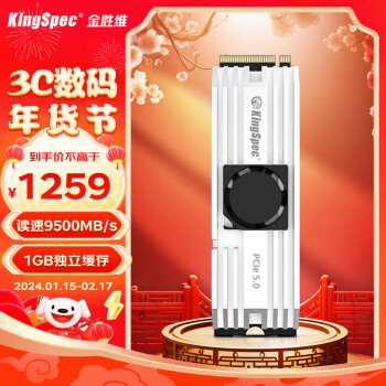 KingSpec 金胜维 1000GB 固态硬盘NVMe M.2接口 2280 PCIe5.0 VP101系列