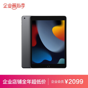 移动端：Apple 苹果 iPad 10.2英寸平板电脑 2021款(64GB WLAN版/A13芯片) 深空灰色 MK2K3CH/A*企业专享