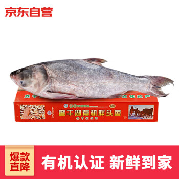 CHINGREE 查干湖 胖头鱼10.5-11斤 1条 礼盒装 ≥5000g