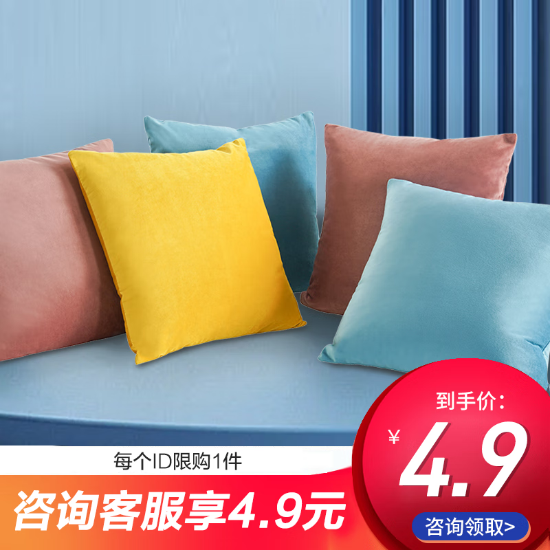 Sleemon 喜临门 丝绒抱枕芯内胆沙发靠枕靠垫芯 4.9元