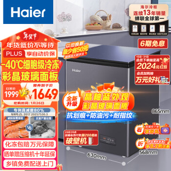 Haier 海尔 142升-40℃彩晶低霜小冰柜家用商用 冷藏柜冷冻柜冰柜小型小冰箱BC/BD-142GHEPGD