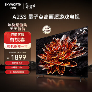 SKYWORTH 创维 A23S系列 55A23S 电视 55英寸 4K