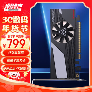 VASTARMOR 瀚铠 AMD RADEON RX 6400 显卡 4GB 黑色