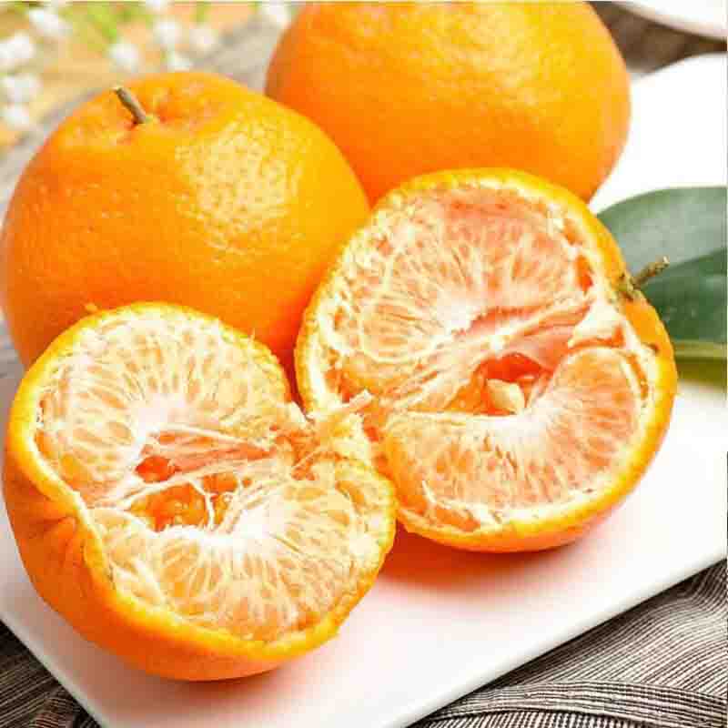 plus会员：水果蔬菜 四川春见耙耙柑 8斤装（单果60-65mm） 券后34.9元