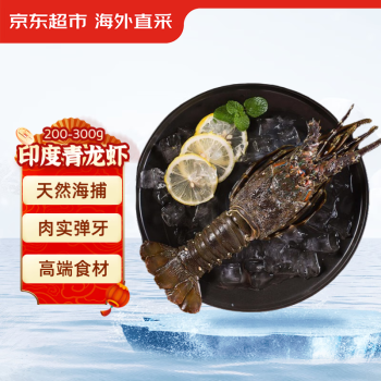 京东超市 冷冻青龙虾/小青龙 200-300g/只  盒装 高端海鲜食材