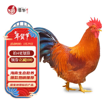 潭牛海南文昌鸡整鸡1kg散养土鸡肉生鲜冷冻供港品牌椰子鸡走地鸡