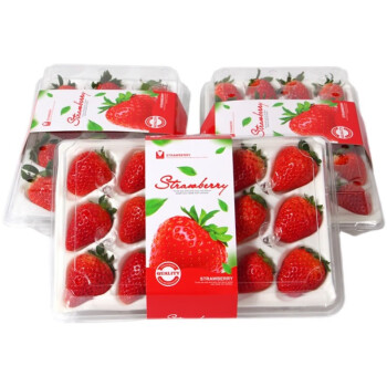 礼京果觅 红颜99奶油草莓15颗一盒中大果约1斤