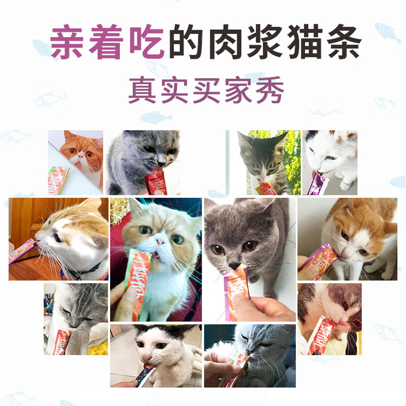 Myfoodie 麦富迪 猫条猫零食 湿粮亲嘴鱼营养补水幼猫肉酱 混合装14g*100支（超值装） 券后38元