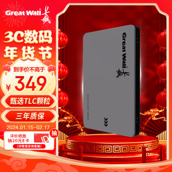 Great Wall 长城 SSD固态硬盘