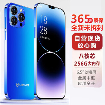 GIONEE 金立 G14ProMax 八核256GB智能手机自营 超薄大屏游戏4G全网通双卡双待 蓝色