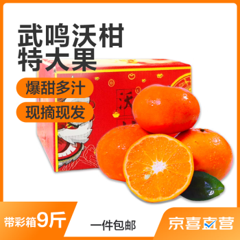 仙绘鲜 广西武鸣沃柑 带箱4.5kg特大果 彩箱礼盒 生鲜水果
