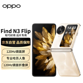 OPPO Find N3 Flip 5G折叠屏手机 12GB+256GB 月光缪斯