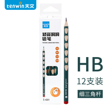 tenwin 天文 4201 三角杆洞洞铅笔 HB 12支装