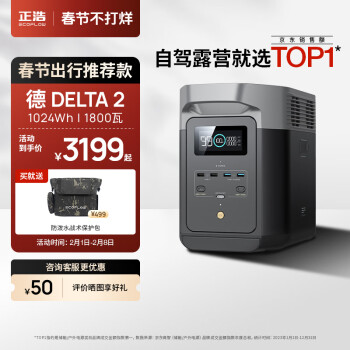 ECOFLOW DELTA 2 移动电源 黑色 1024Wh Type-C 1800W 双向快充