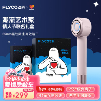 FLYCO 飞科 高速电吹风机