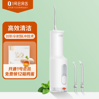 Xiaomi 小米 MI）米家立式冲牙器F300烟纱白 洗牙器水牙线 创新散射脉冲 4档模式3种喷嘴 240ML大水箱