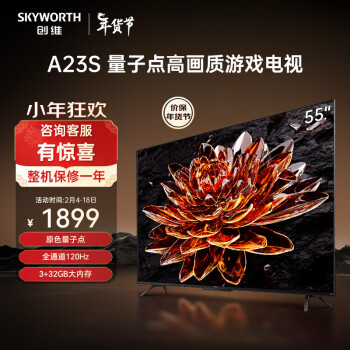 SKYWORTH 创维 A23S系列 55A23S 电视 55英寸 4K