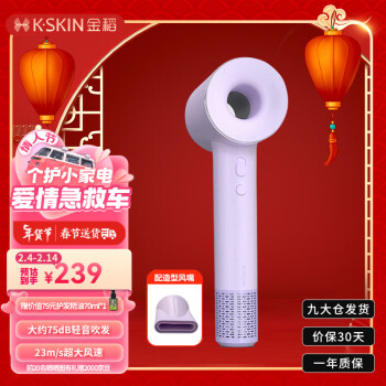 K·SKIN 金稻 高速吹风机家用11万转大功率速干2亿负离子护发大风力低噪音电吹风 K12紫色