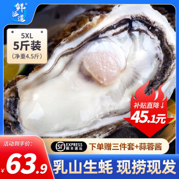 XIANHAIDAO 鲜海道 生蚝  乳山牡蛎 新鲜海蛎子生鲜贝类 蚝王5XL5斤送酱（8-12只））