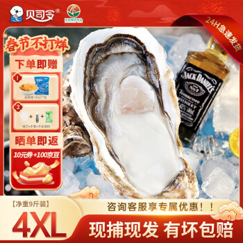 BEISILING 贝司令 特大乳山生蚝鲜活牡蛎即食海蛎子海鲜水产一箱10斤XXXXL