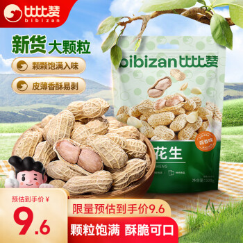 bi bi zan 比比赞 龙岩花生 蒜香味 500g