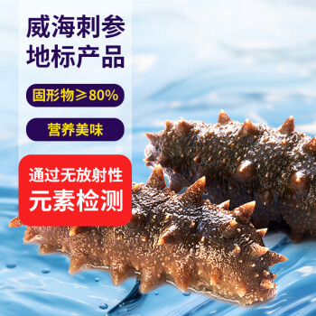 datian 大沺 冷冻即食海参500g(16-20只) 固形物80%以上 威海刺参 地标产品