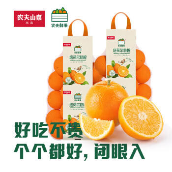 Joy Tree 欢乐果园 京鲜生 农夫鲜果网兜橙橙子 2袋装 1.5kg/袋 新鲜水果 年货好物