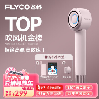 FLYCO 飞科 高速吹风机家用负离子护发风筒大风力电吹风