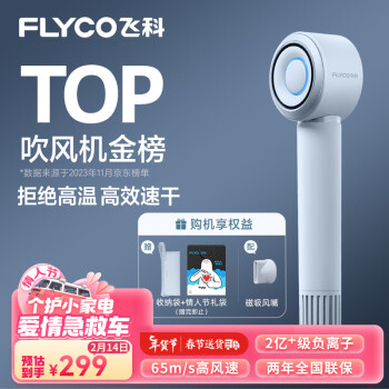 FLYCO 飞科 高速电吹风机 银河星环吹风筒FH6371星空灰 1件