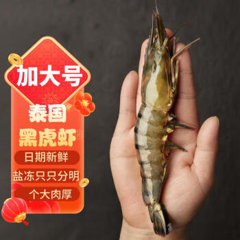 京东京造 黑虎虾 无冰净重850g 17-26只