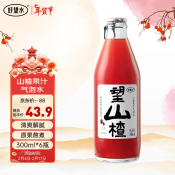 HOPE WATER 好望水 望山楂 经典山楂饮料气泡水 0脂肪果汁汽水 300ml*6瓶整箱