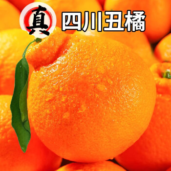 菲农 四川不知火丑橘 5斤 单果65-75mm 约14枚 新鲜柑橘丑橘子甜柑桔