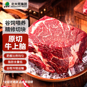 大荒優(yōu)選進口原切精品牛肉牛上腦瘦肉多不注水不合成不拼接1kg