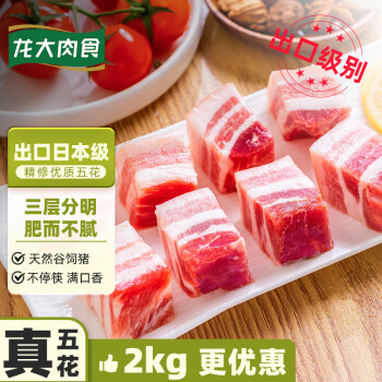 LONG DA 龙大 肉食 猪五花肉块2kg 冷冻带皮五花肉猪五花烤肉酱卤原料 出口日本级