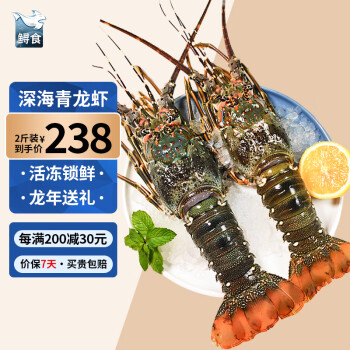 鲟食 龙虾生鲜小青龙新鲜冷冻 超大青龙虾 海鲜大虾礼盒 2斤装（共3-4只）