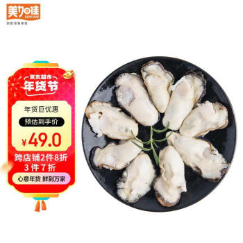 美加佳 韩国大号冷冻牡蛎肉 生蚝肉 净重500g