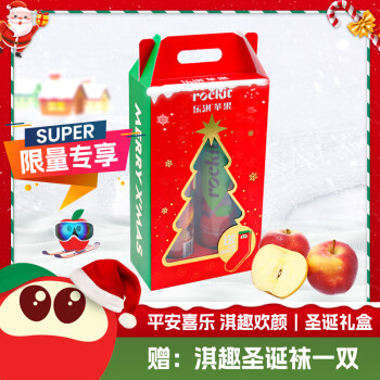 Rockit 乐淇 新西兰火箭筒苹果 2筒礼盒装 单筒350g起 5粒/筒 限量圣诞礼盒 赠圣诞袜