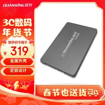 QUANXING 铨兴 C201 SATA3.0 SSD固态硬盘 1TB