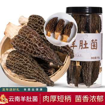 junyi 菌益 羊肚菌干货60g 云南特产精选羊肚菇6-9cm肉厚剪柄 煲汤食材