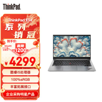 ThinkPad 思考本 E14 英特尔酷睿i5 联想14英寸轻薄便携笔记本电脑(i5 16G 512G 100%sRGB 银)商务办公本