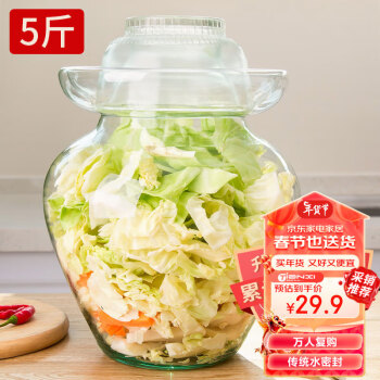 TiaNXI 天喜 玻璃泡菜坛子家用加厚密封罐透明大容量 5斤装